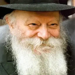 The Rebbe's Torah
